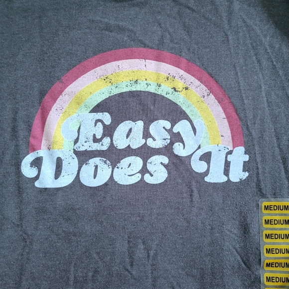 Wildfox🦊 "Easy Does It" Statement Sweatshirt - NWT - Picture 3 of 16